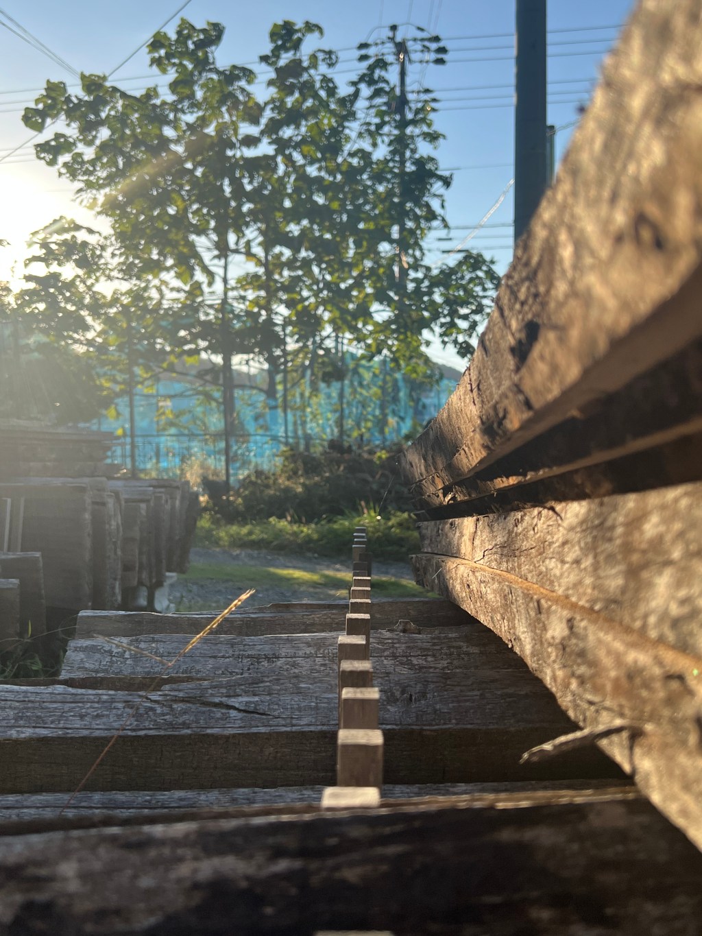 Class (4 – 6) – Traditional&nbsp;Techniques