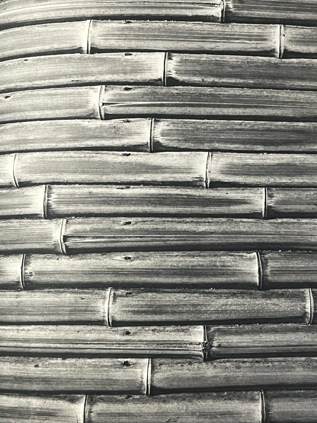 Artist Collaborations